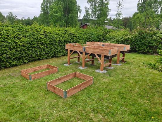 Kaksi lavakaulusta maassa ja kaksi kukkapenkkiä. Molemmat nurmikolla ja taustalla kuusiaitaa.